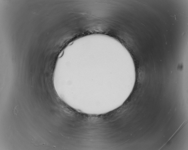 X0000112141297200909181348