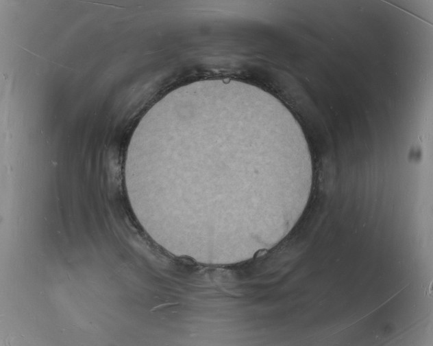 X0000112141298200909181348