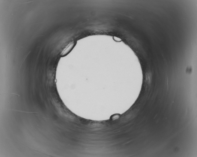 X0000112141300200909181348