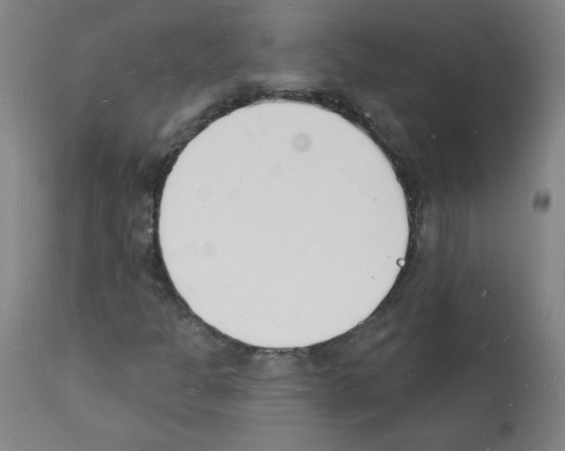 X0000112141301200909181348