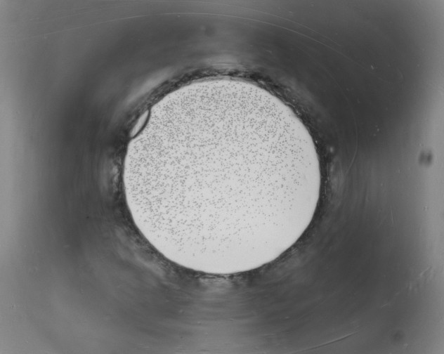 X0000112141302200909181348