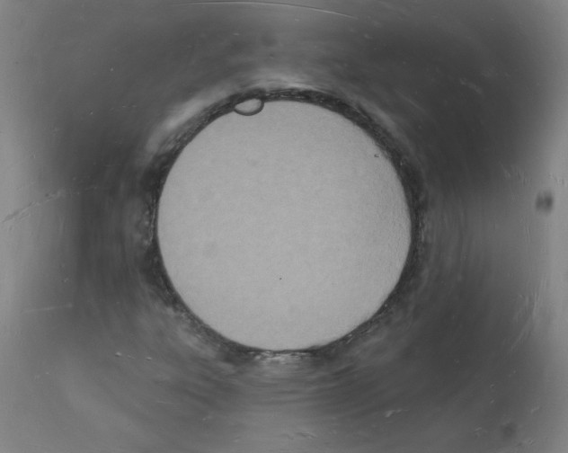 X0000112141303200909181348