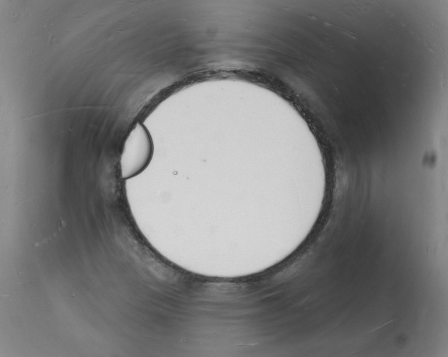 X0000112141305200909181349