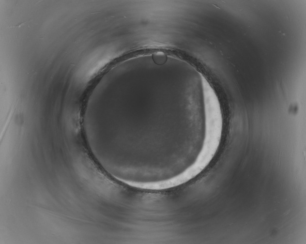 X0000112141306200909181349