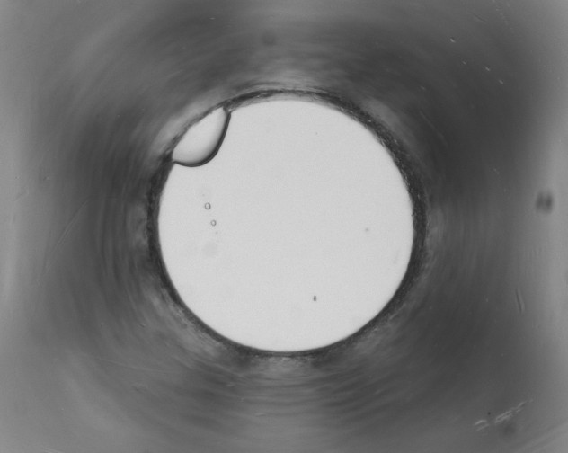 X0000112141307200909181349