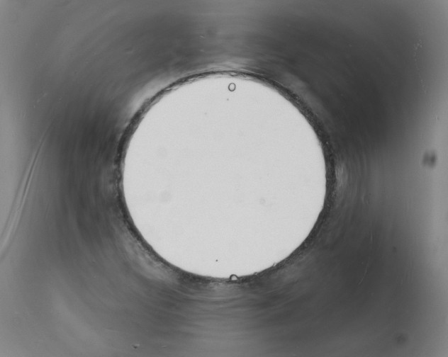 X0000112141308200909181349