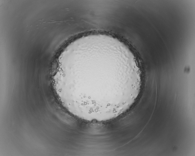 X0000112141310200909181349