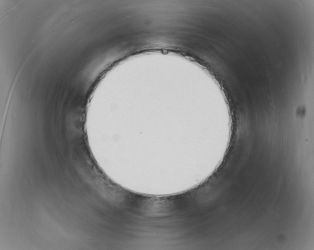 X0000112141314200909181349