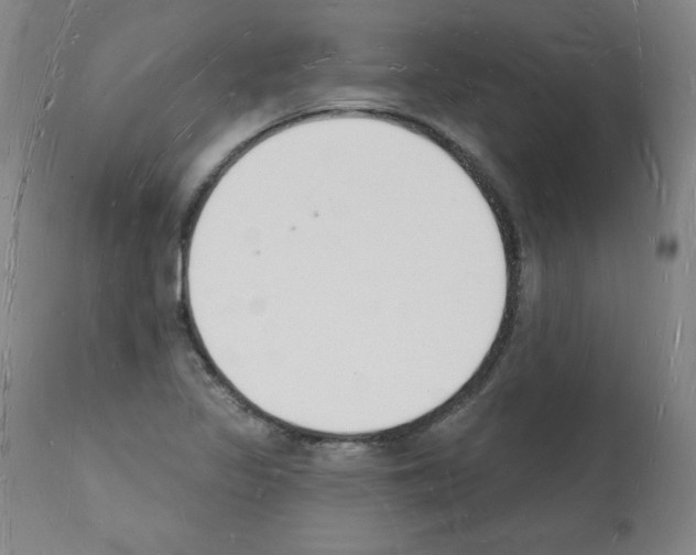 X0000112141317200909181349