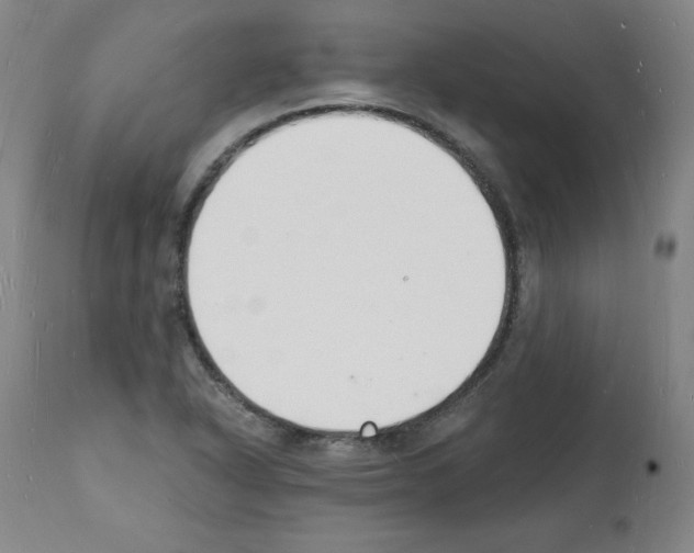 X0000112141318200909181349