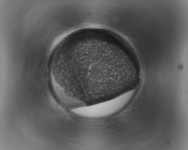 X0000112141319200909181349