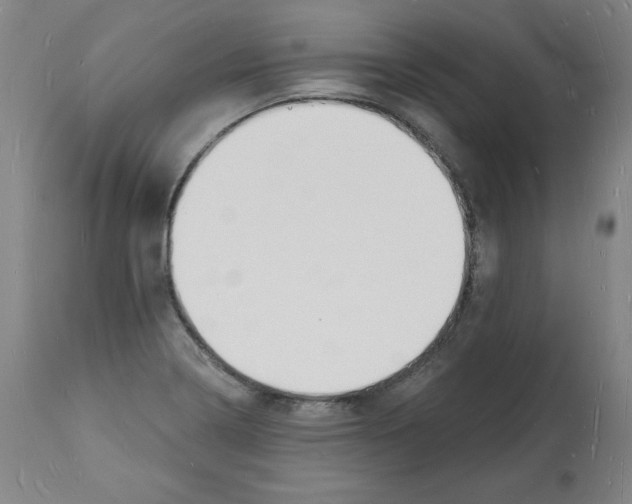 X0000112141322200909181349