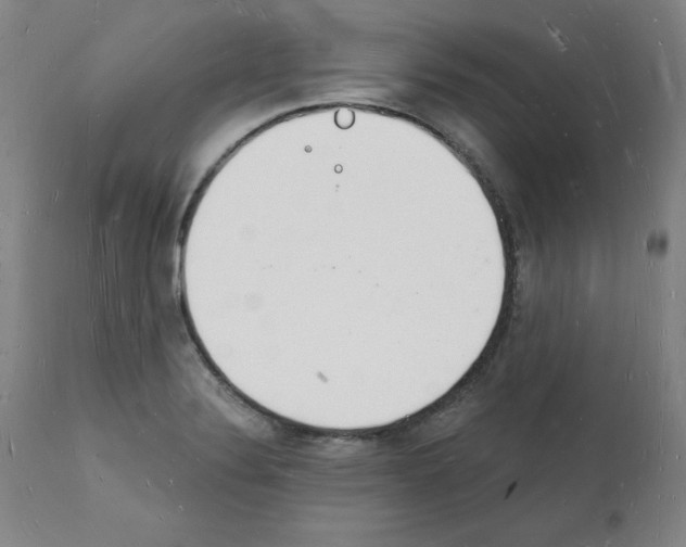 X0000112141324200909181349