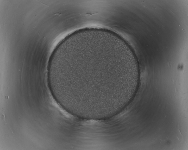 X0000112141327200909181349