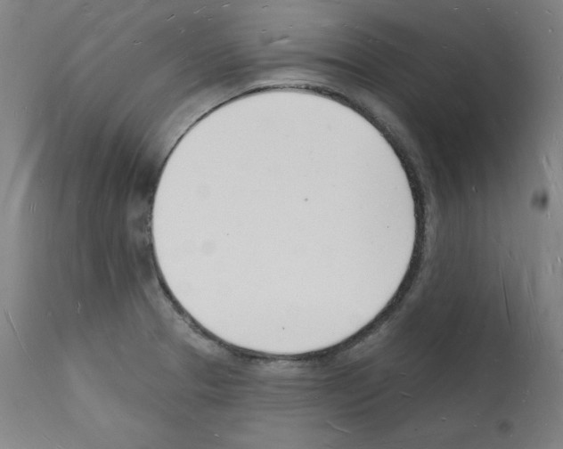 X0000112141329200909181349