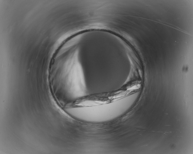 X0000112141334200909181349