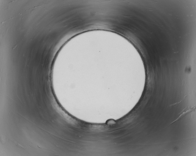 X0000112141339200909181349