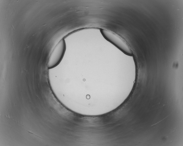 X0000112141340200909181349