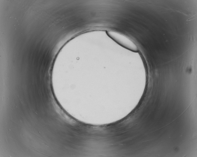 X0000112141341200909181349