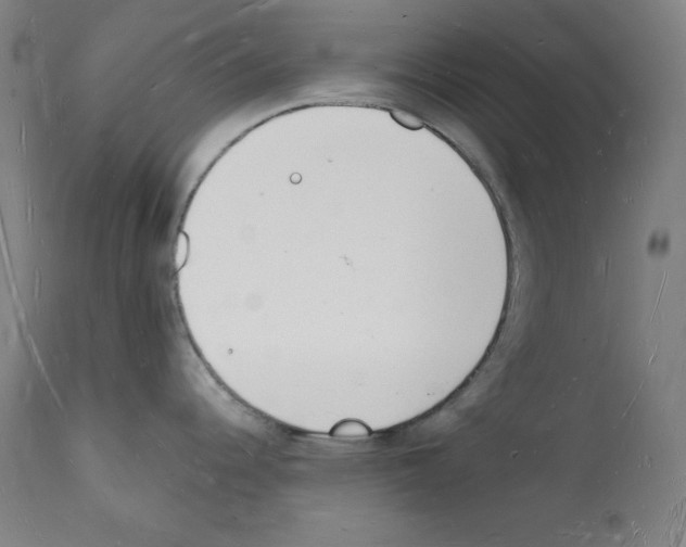 X0000112141344200909181349