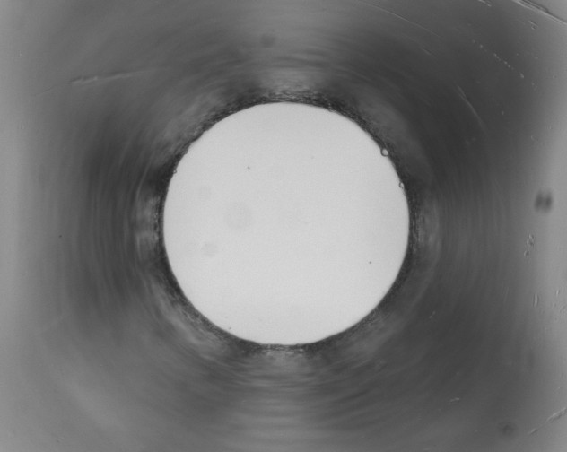 X0000112141346200909181348