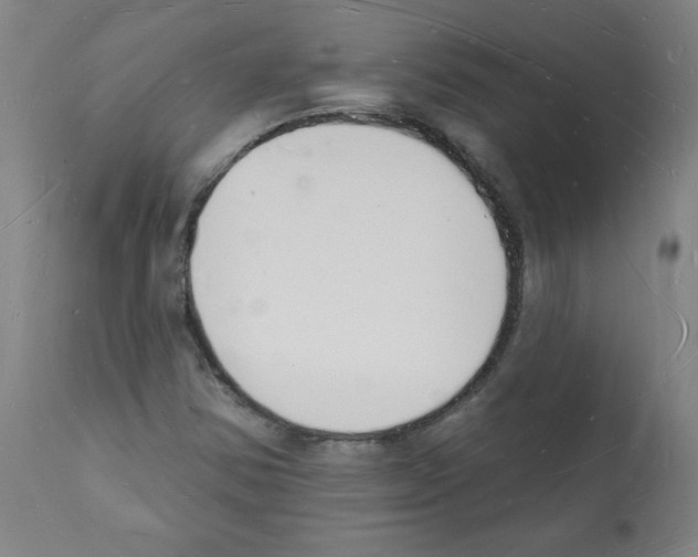 X0000112141354200909181348