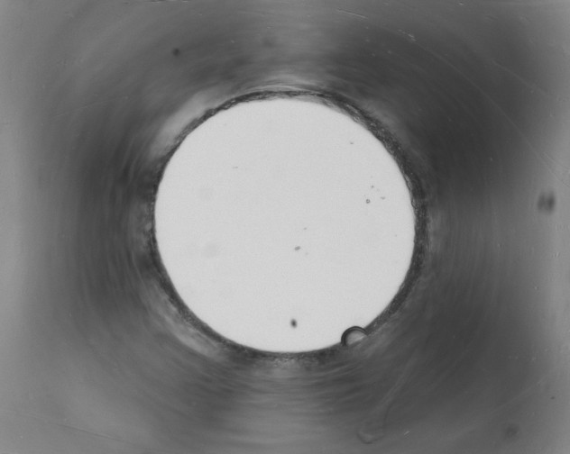 X0000112141355200909181348