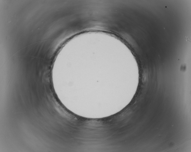 X0000112141356200909181348