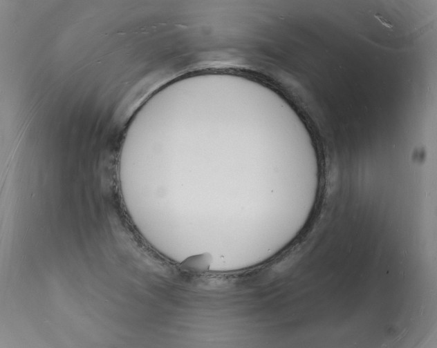 X0000112141361200909181348