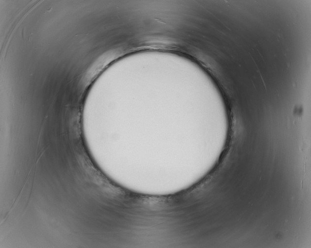 X0000112141362200909181348