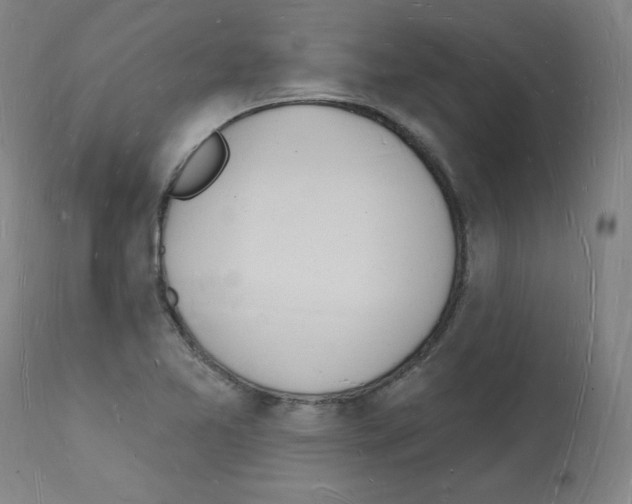 X0000112141365200909181348