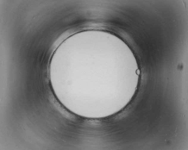 X0000112141370200909181348