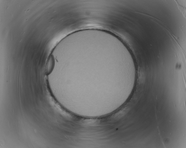 X0000112141373200909181348