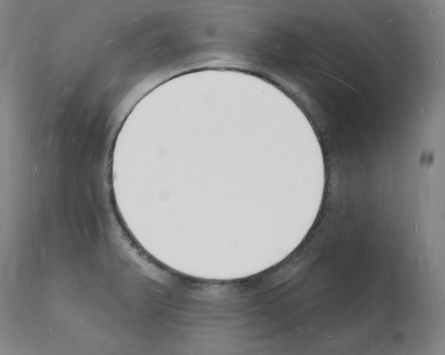 X0000112141375200909181348