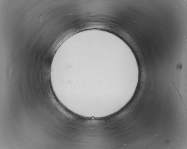 X0000112141377200909181348