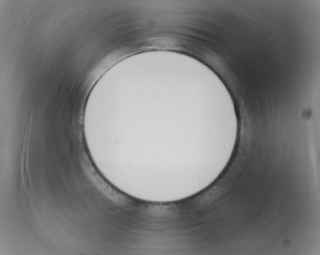 X0000112141378200909181348