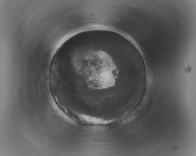 X0000112141381200909181348