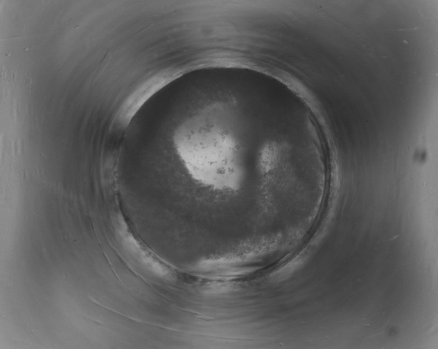 X0000112141385200909181348