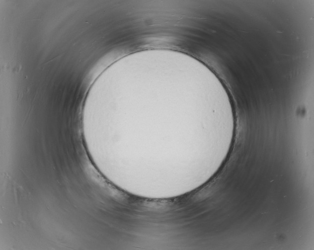 X0000112141386200909181348