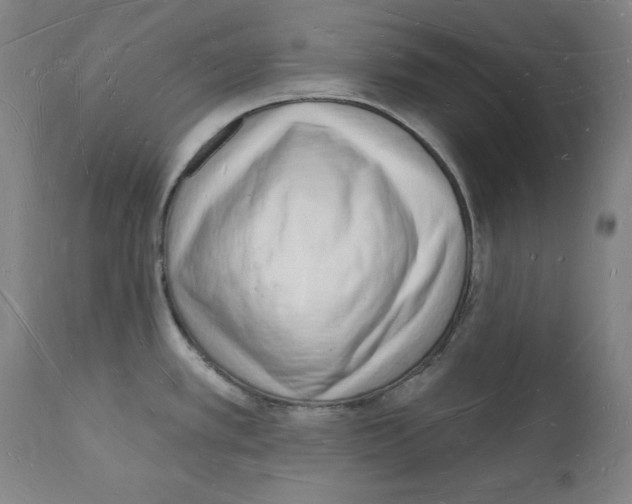 X0000112141389200909181348