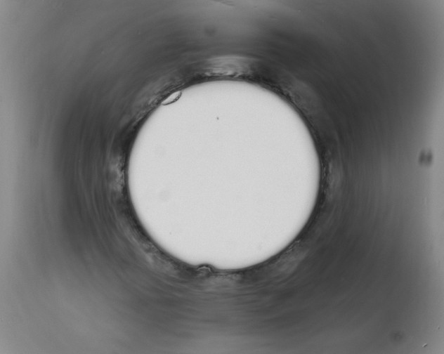 X0000112141394200909181347