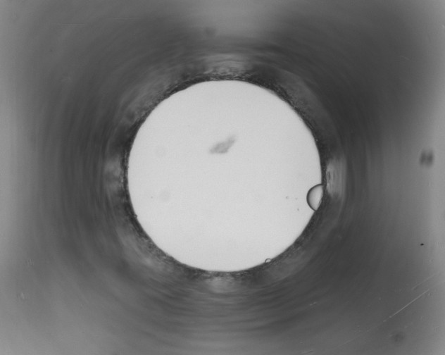 X0000112141395200909181347