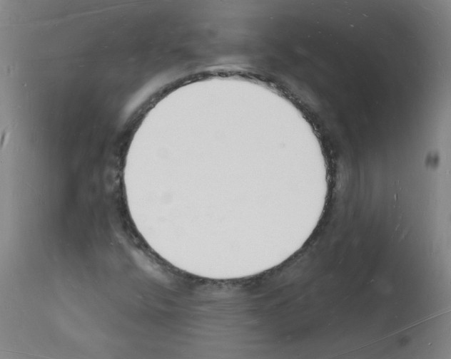 X0000112141400200909181347