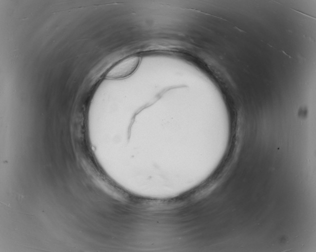 X0000112141401200909181347