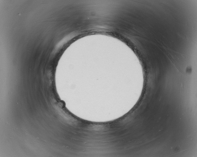 X0000112141402200909181347