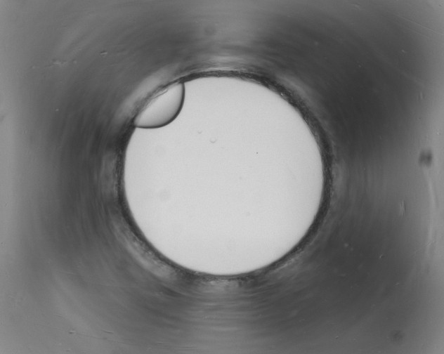 X0000112141403200909181347