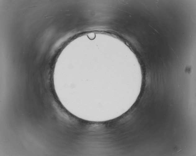 X0000112141406200909181347