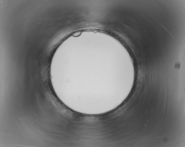 X0000112141407200909181347