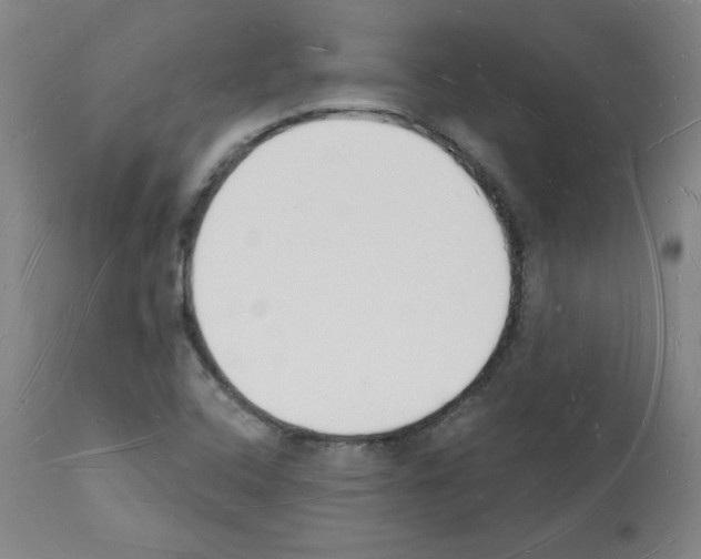 X0000112141408200909181347