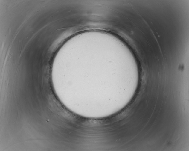 X0000112141411200909181347